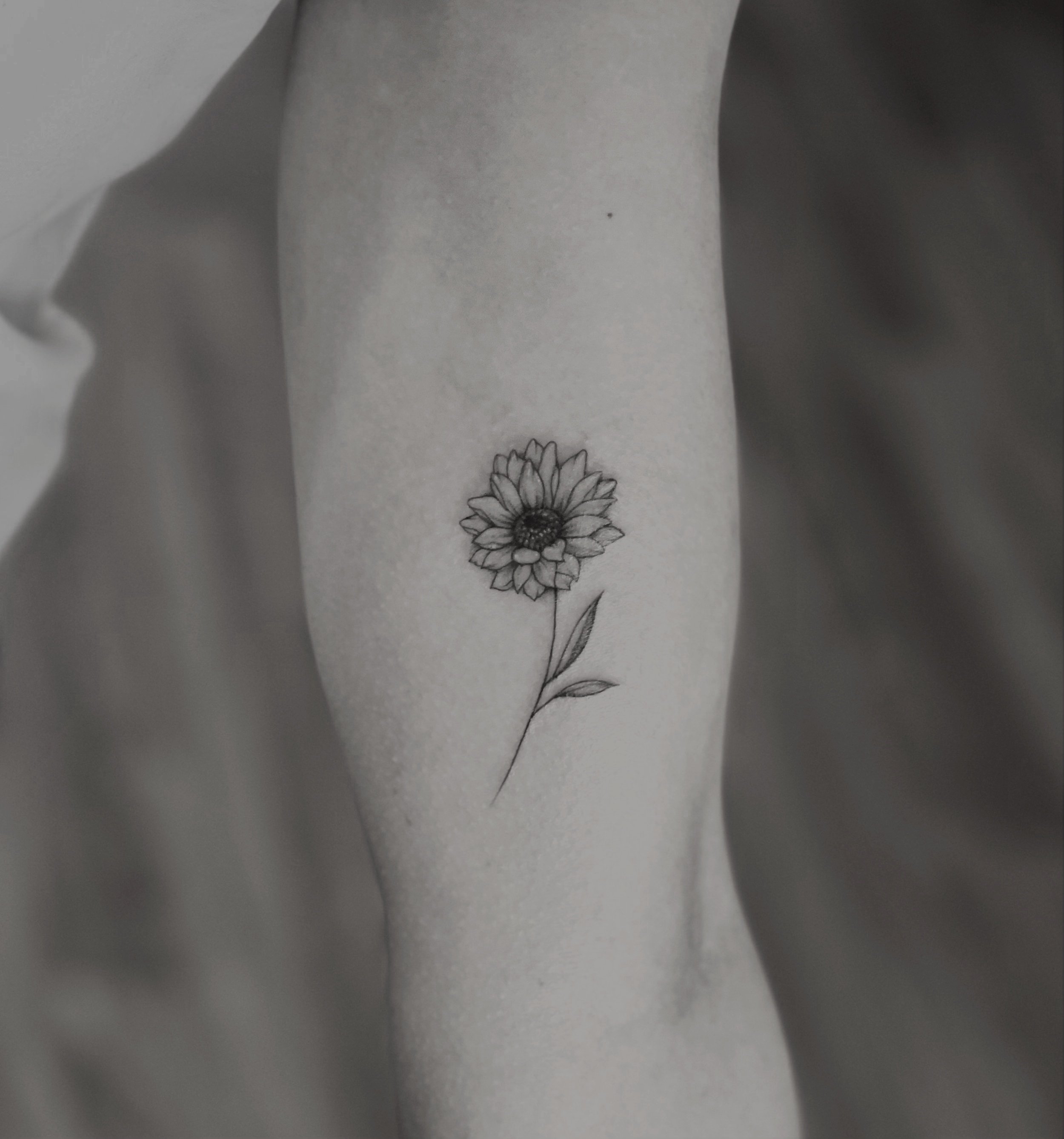 Ink Haus Creative Studios — laser tattoo removal clinic in Hackney