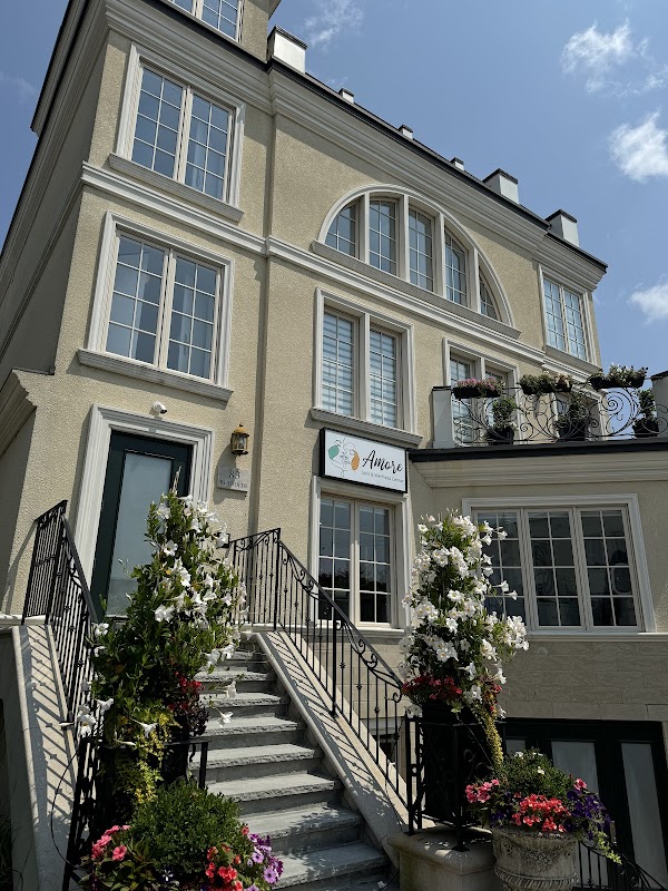 Amore Skin And Wellness Center — laser tattoo removal clinic in Oakville