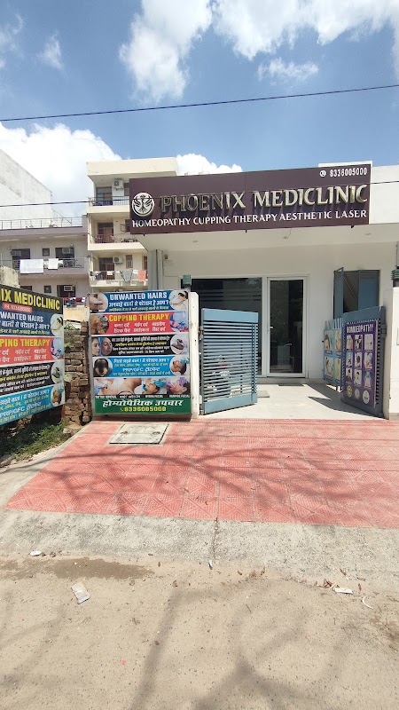 Phoenix mediclinic Homoeopathy, cupping therapy,laser hair reduction — laser tattoo removal clinic in Gurugram