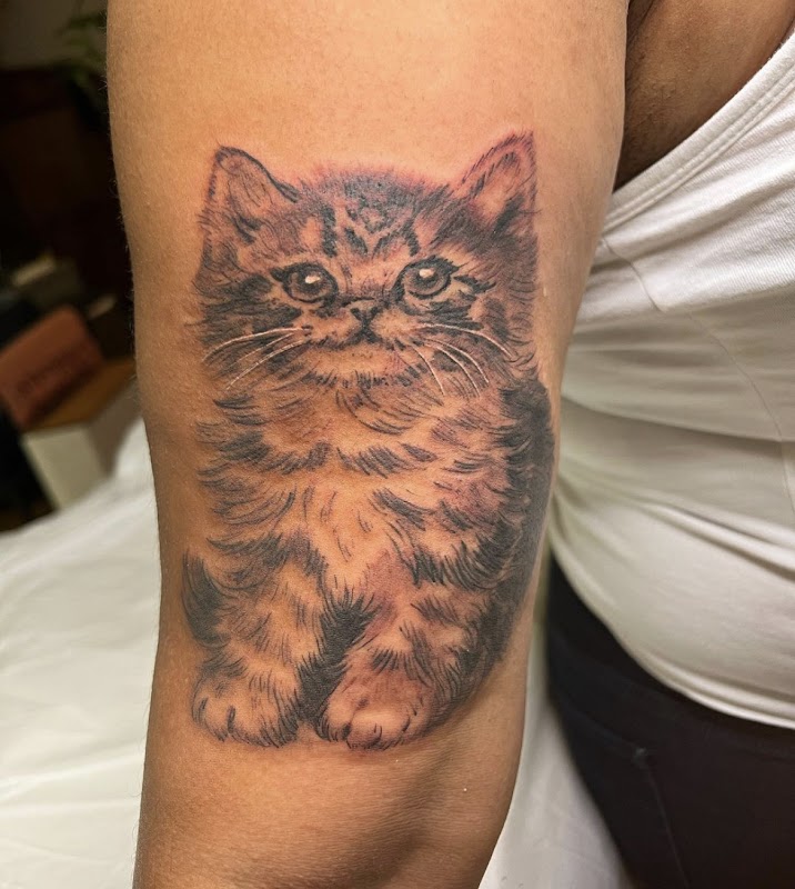 Butterfat Studios — laser tattoo removal clinic in Chicago