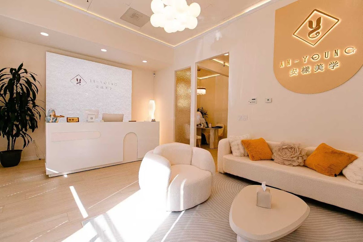 An-Young Beauty and Wellness San Jose — laser tattoo removal clinic in San Jose