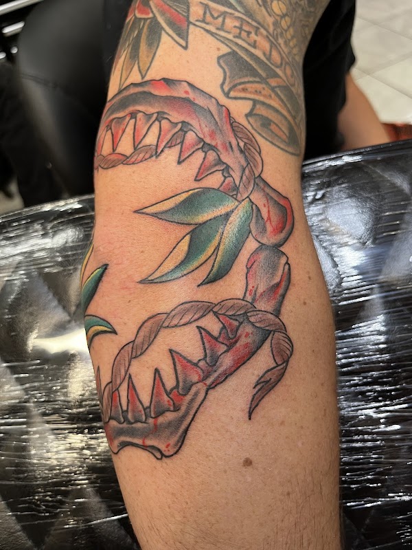 Sacred Art Tattoo Waikiki — laser tattoo removal clinic in Honolulu